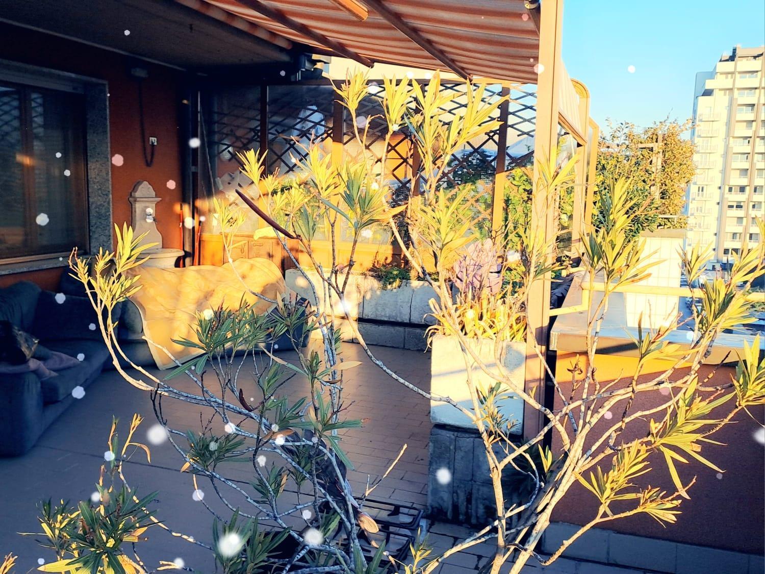 Meraviglioso Super Attico Con Terrazza Milano Ngoại thất bức ảnh